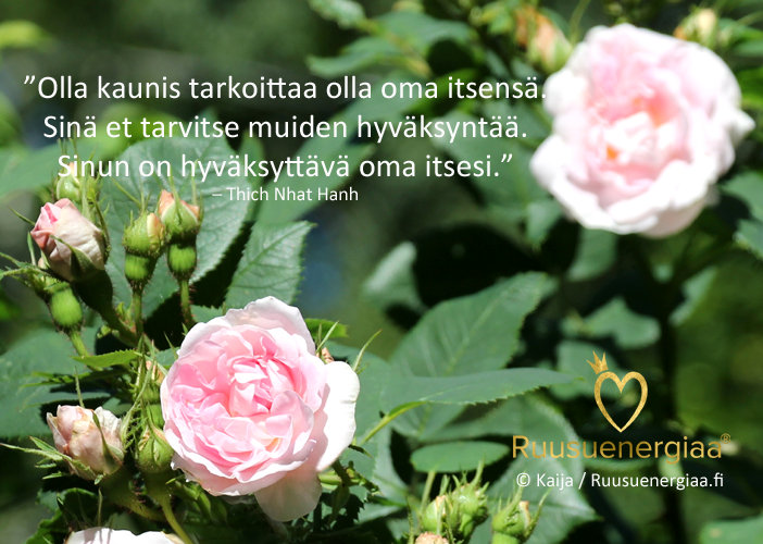 ainutlaatuinen_ruusuenergiaa.fi