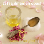 lataa-ilmainen-diy-opas-ruusuenergiaa-fi-blogi